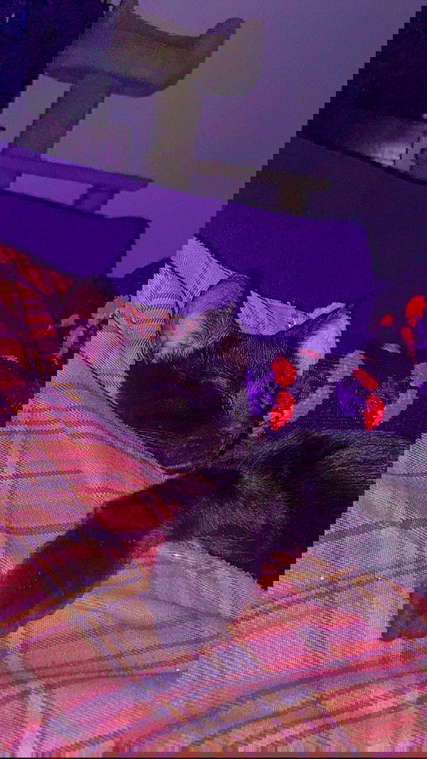 feelbetterinmysweater feelbetterinmysweater archive image