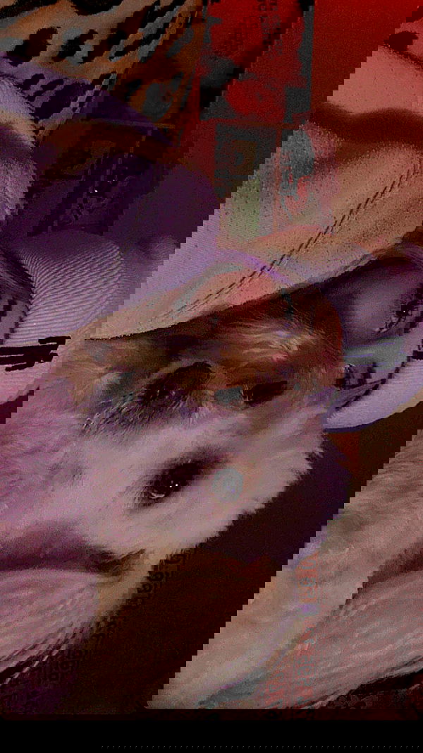 feelbetterinmysweater feelbetterinmysweater archive image