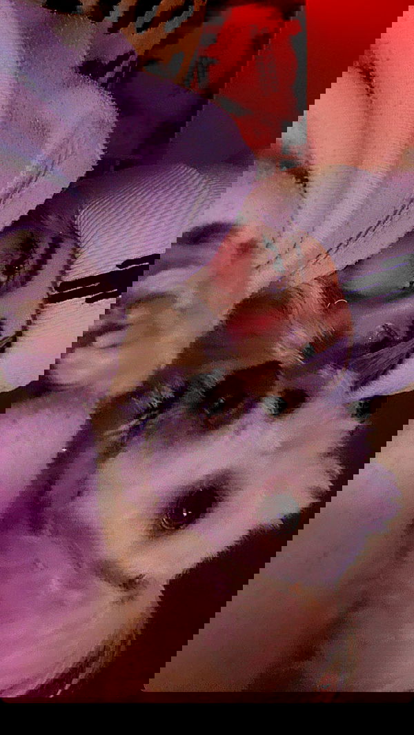 feelbetterinmysweater feelbetterinmysweater archive image