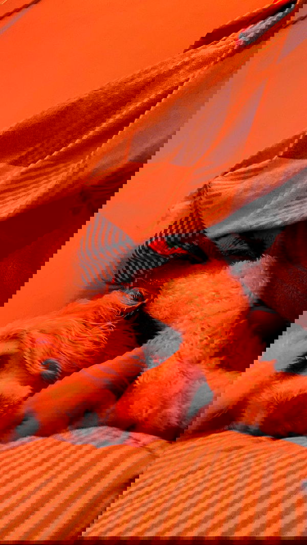 feelbetterinmysweater feelbetterinmysweater archive image