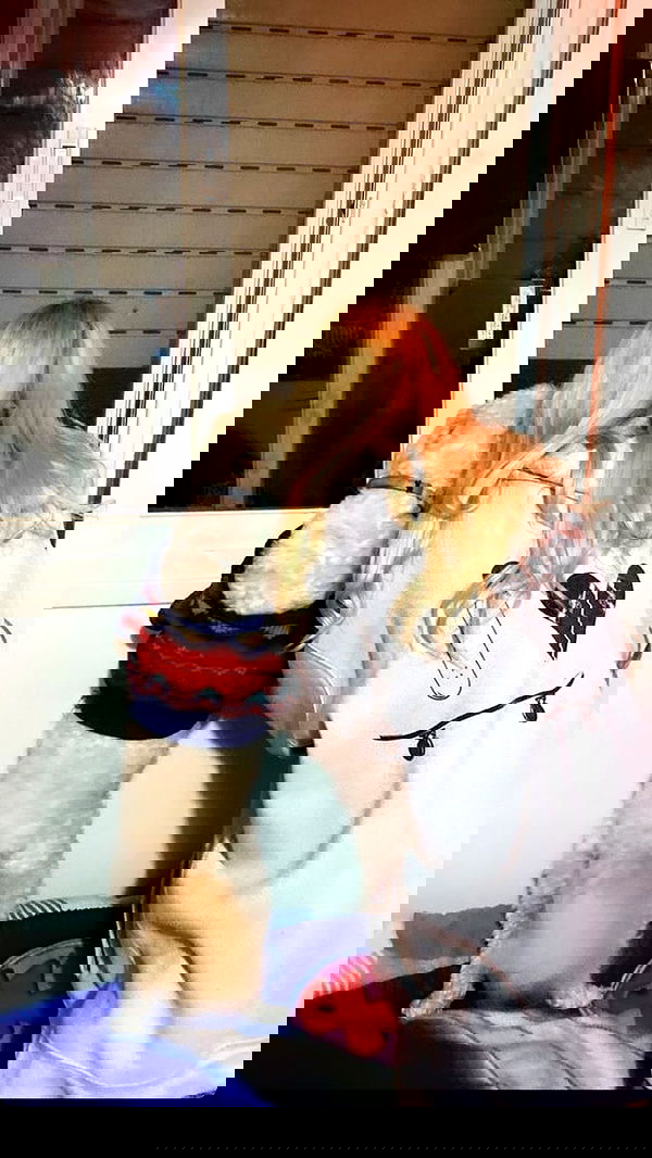 feelbetterinmysweater feelbetterinmysweater archive image