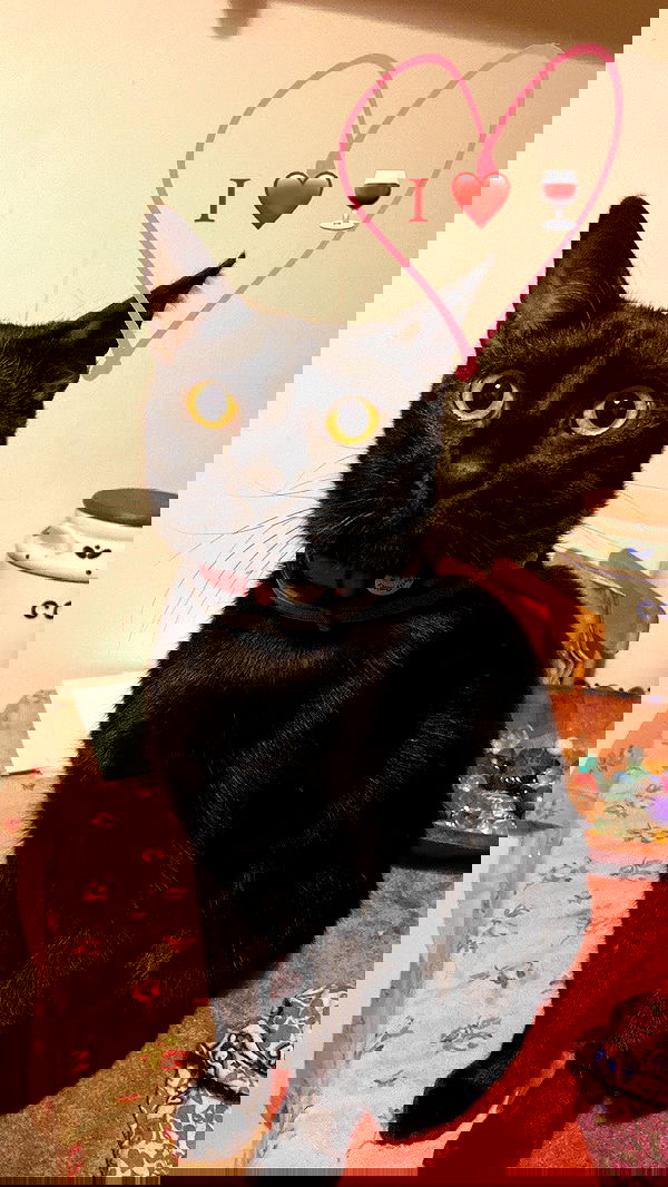 feelbetterinmysweater feelbetterinmysweater archive image