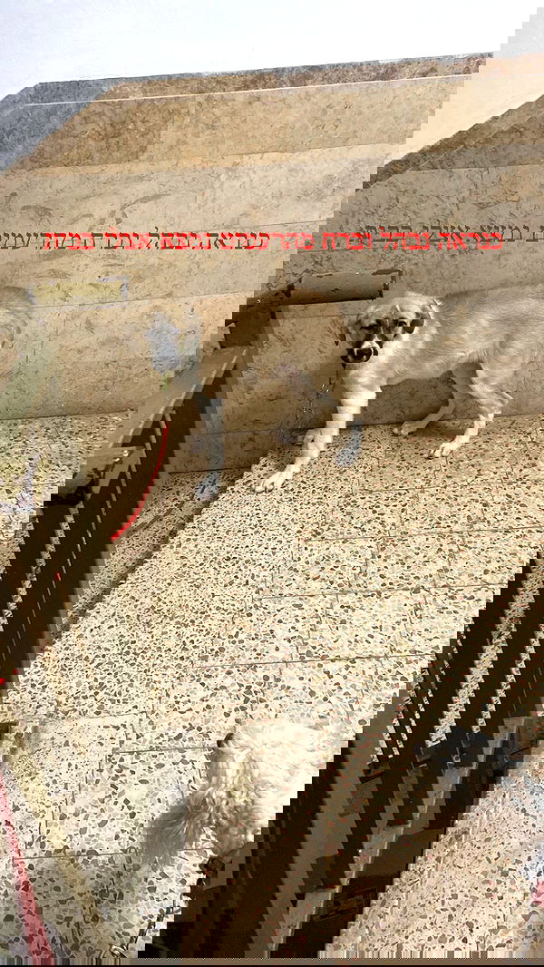 feelbetterinmysweater feelbetterinmysweater archive image