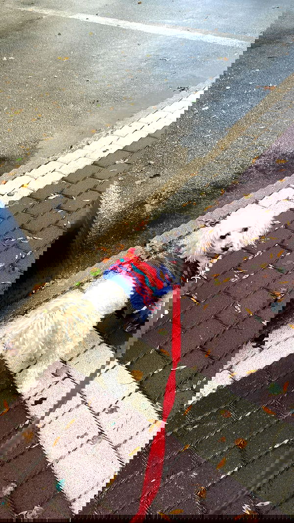 feelbetterinmysweater feelbetterinmysweater archive image