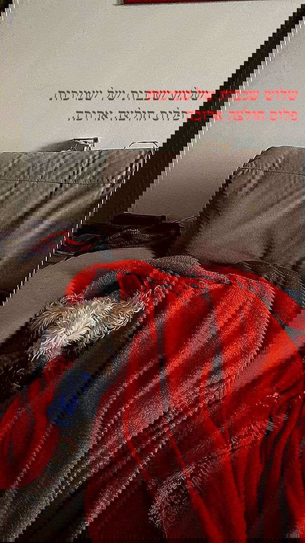 feelbetterinmysweater feelbetterinmysweater archive image