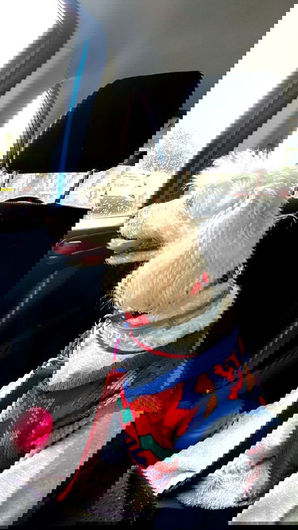 feelbetterinmysweater feelbetterinmysweater archive image