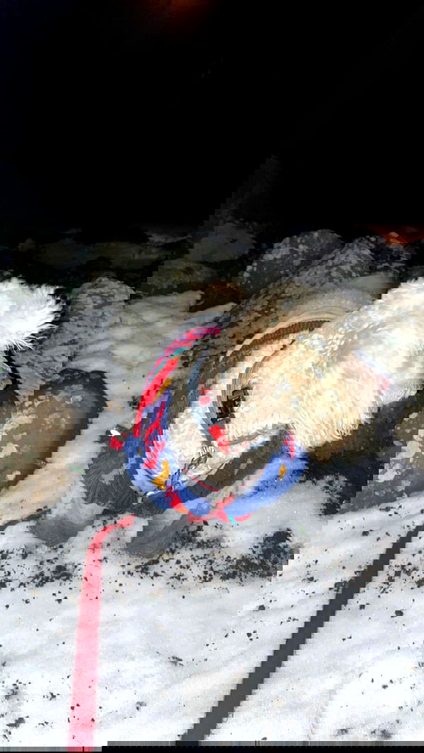 feelbetterinmysweater feelbetterinmysweater archive image