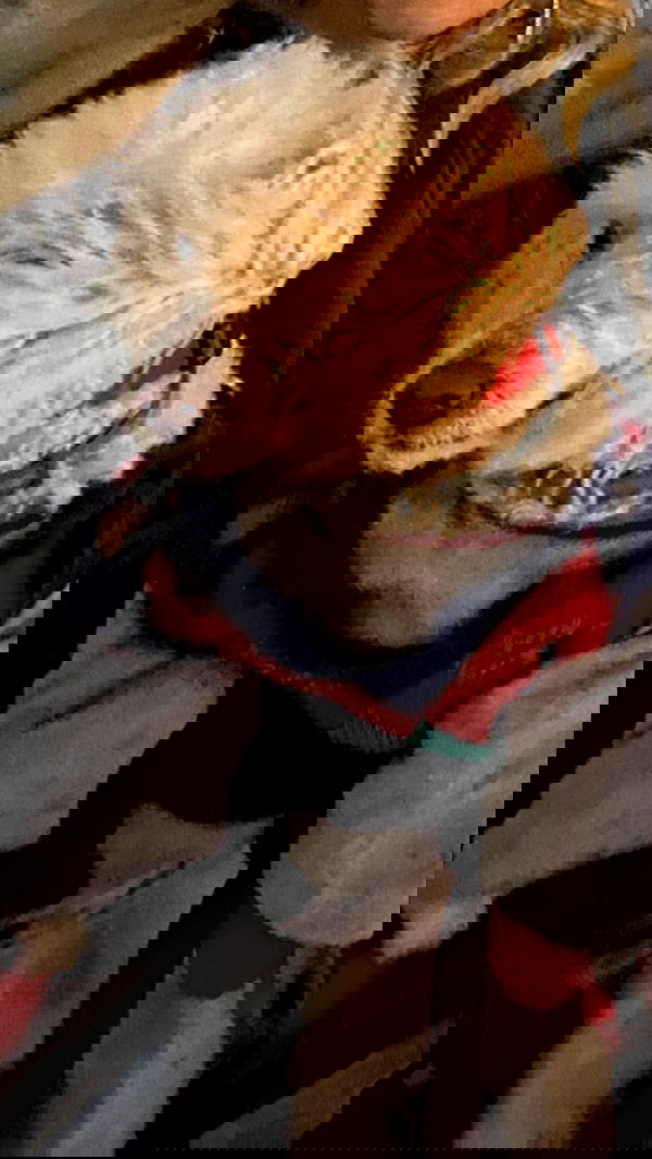 feelbetterinmysweater feelbetterinmysweater archive image