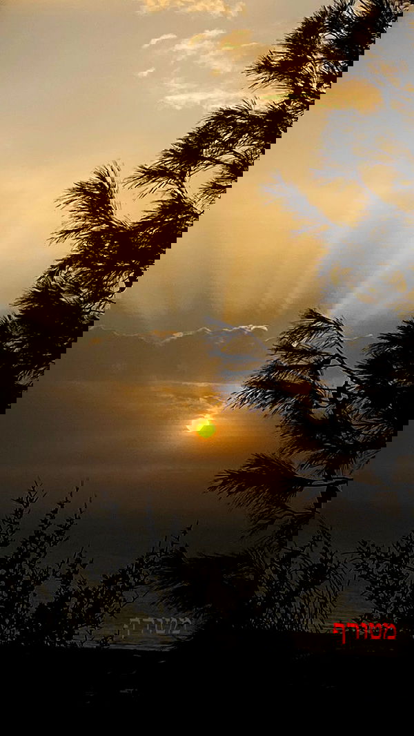 feelbetterinmysweater feelbetterinmysweater archive image