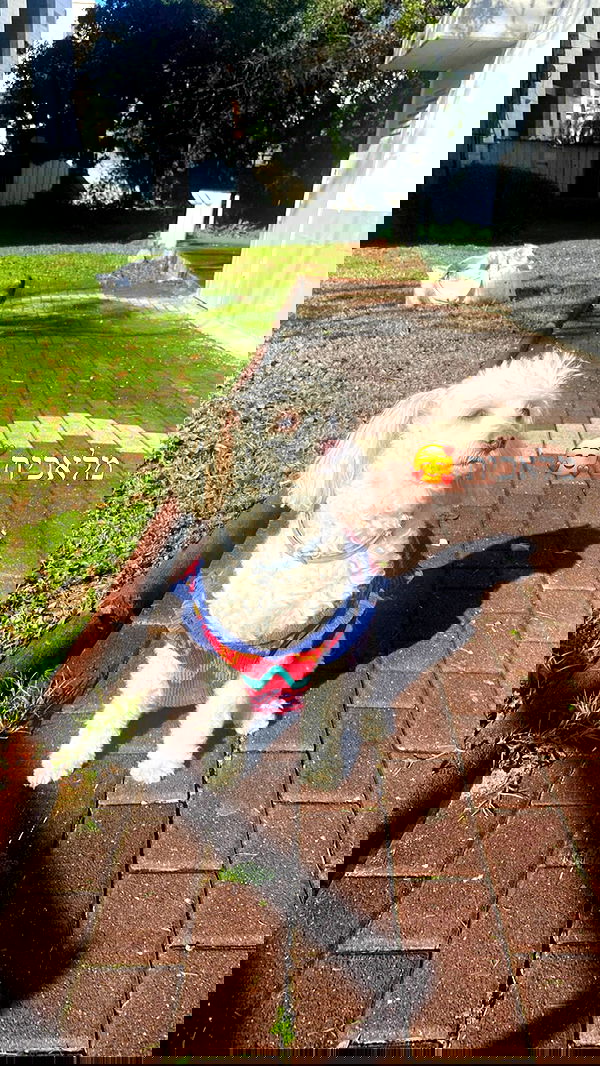 feelbetterinmysweater feelbetterinmysweater archive image