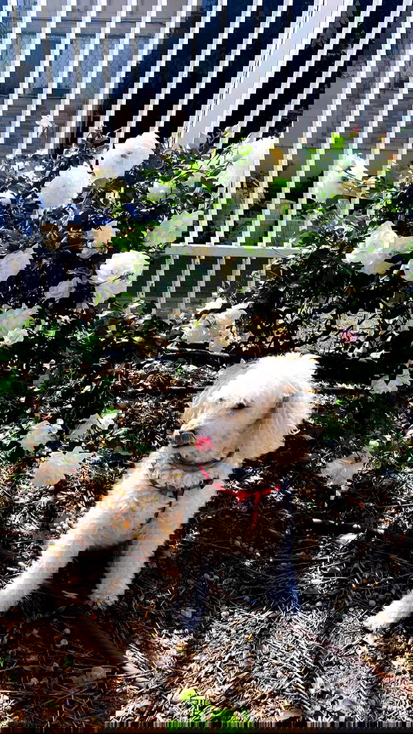 feelbetterinmysweater feelbetterinmysweater archive image