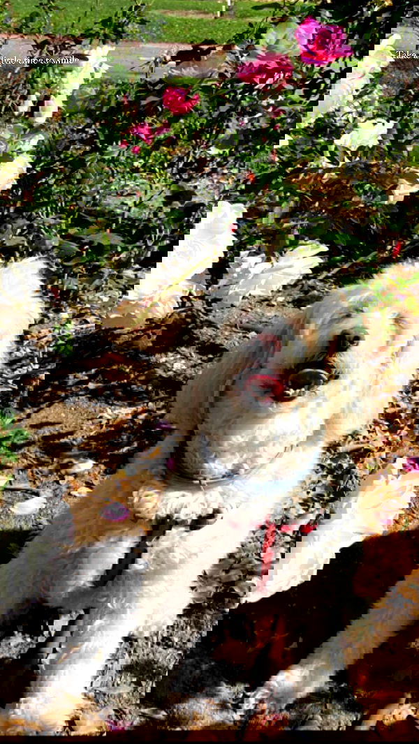 feelbetterinmysweater feelbetterinmysweater archive image