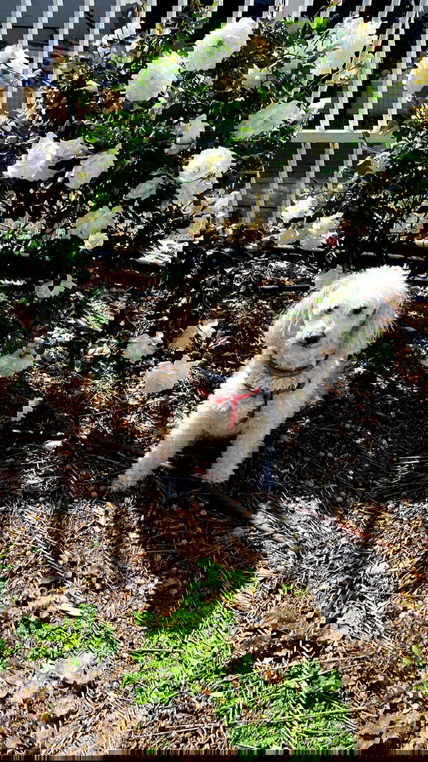 feelbetterinmysweater feelbetterinmysweater archive image