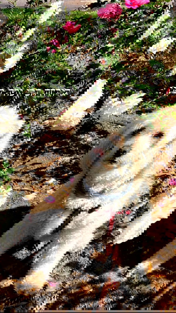 feelbetterinmysweater feelbetterinmysweater archive image