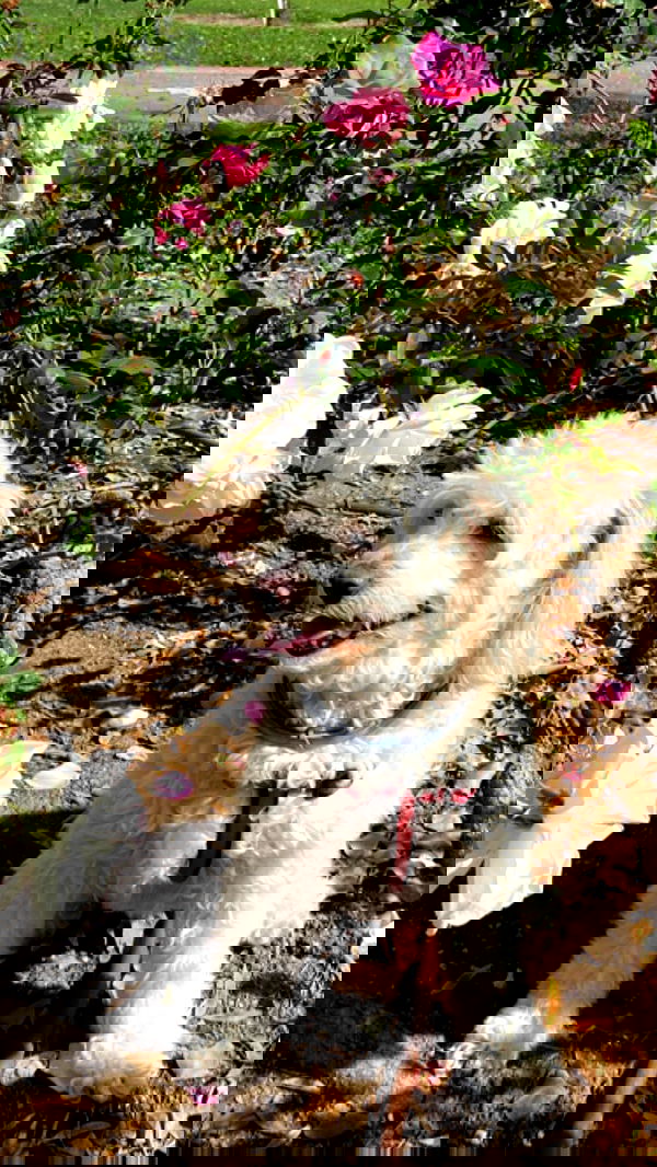 feelbetterinmysweater feelbetterinmysweater archive image