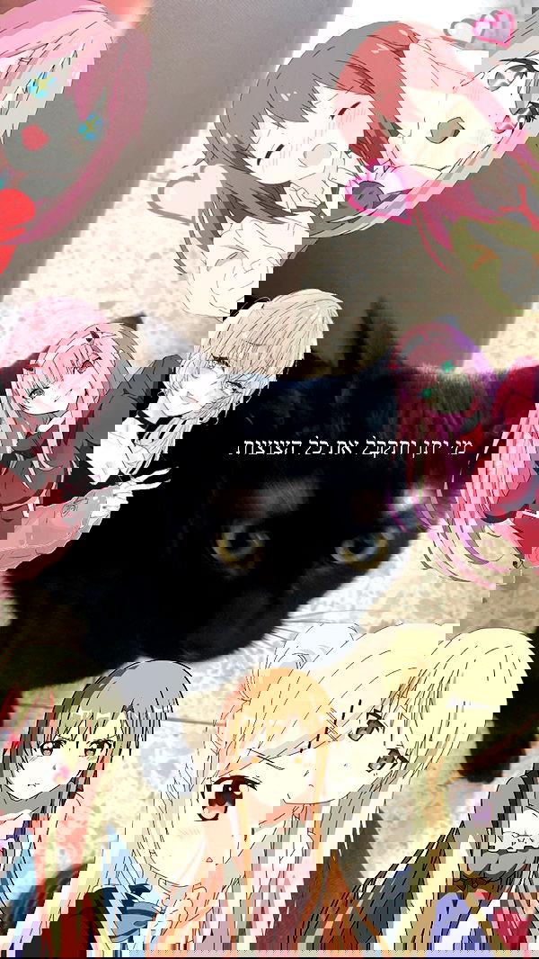 feelbetterinmysweater feelbetterinmysweater archive image