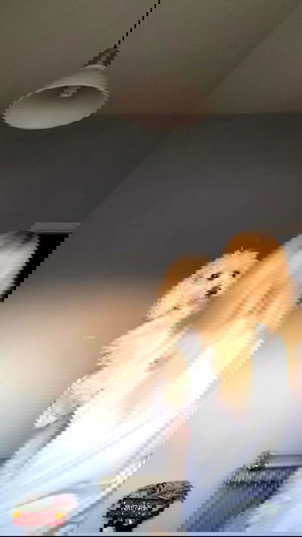 feelbetterinmysweater feelbetterinmysweater archive image