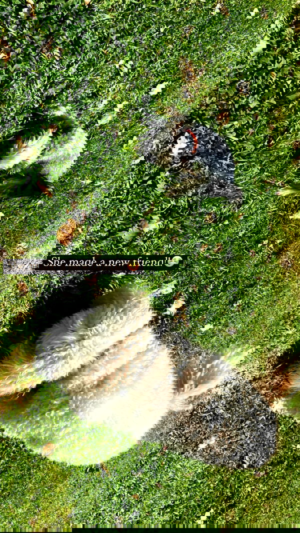 feelbetterinmysweater feelbetterinmysweater archive image