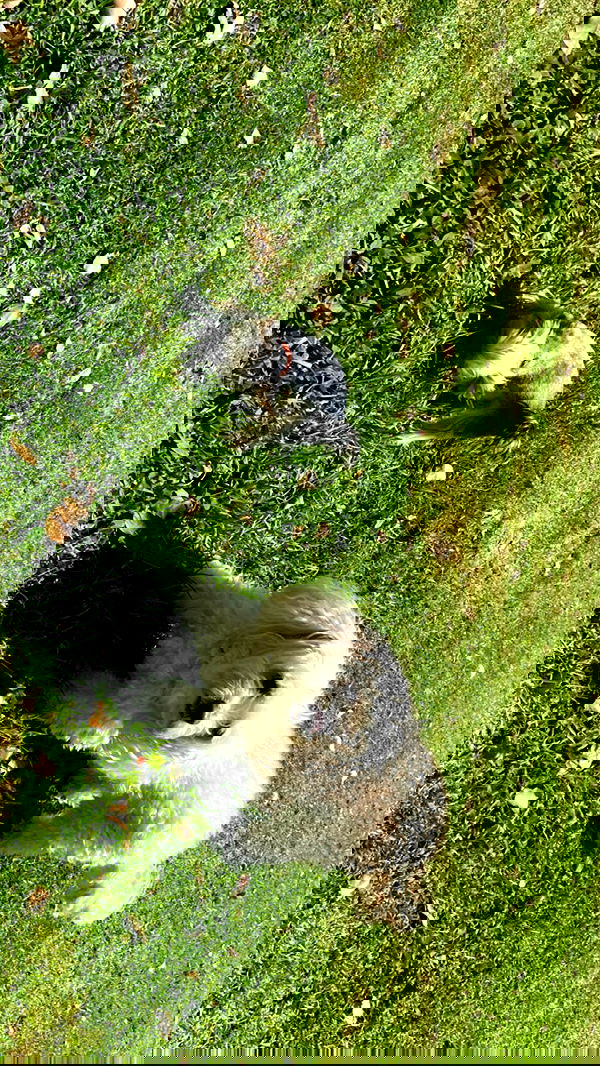 feelbetterinmysweater feelbetterinmysweater archive image