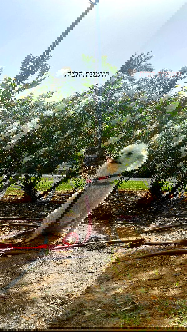 feelbetterinmysweater feelbetterinmysweater archive image