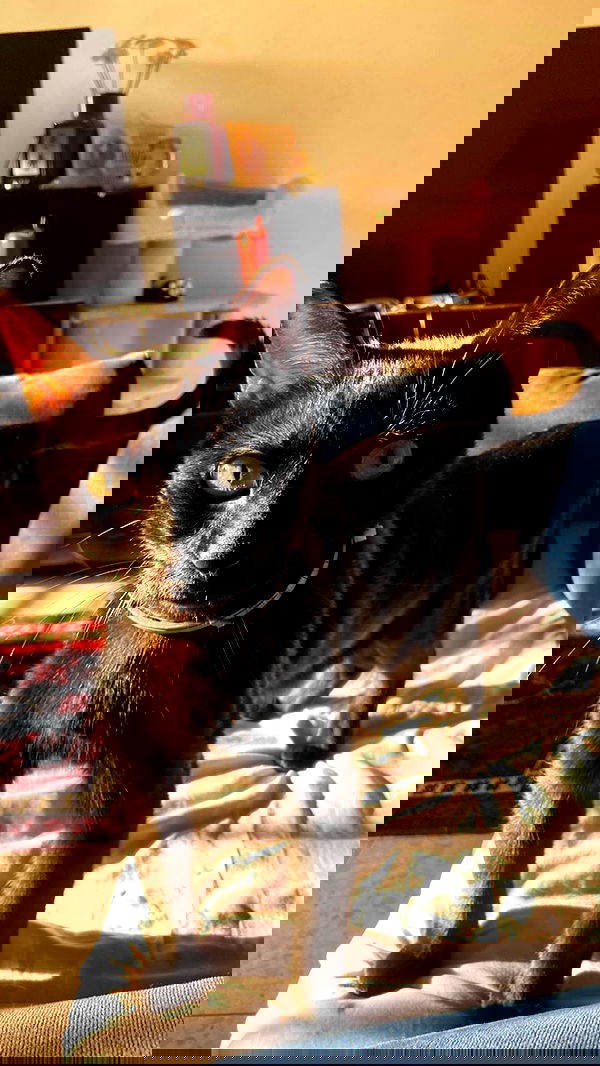 feelbetterinmysweater feelbetterinmysweater archive image