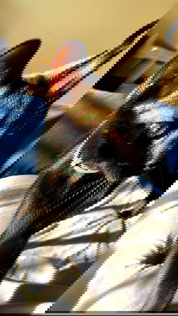 feelbetterinmysweater feelbetterinmysweater archive image