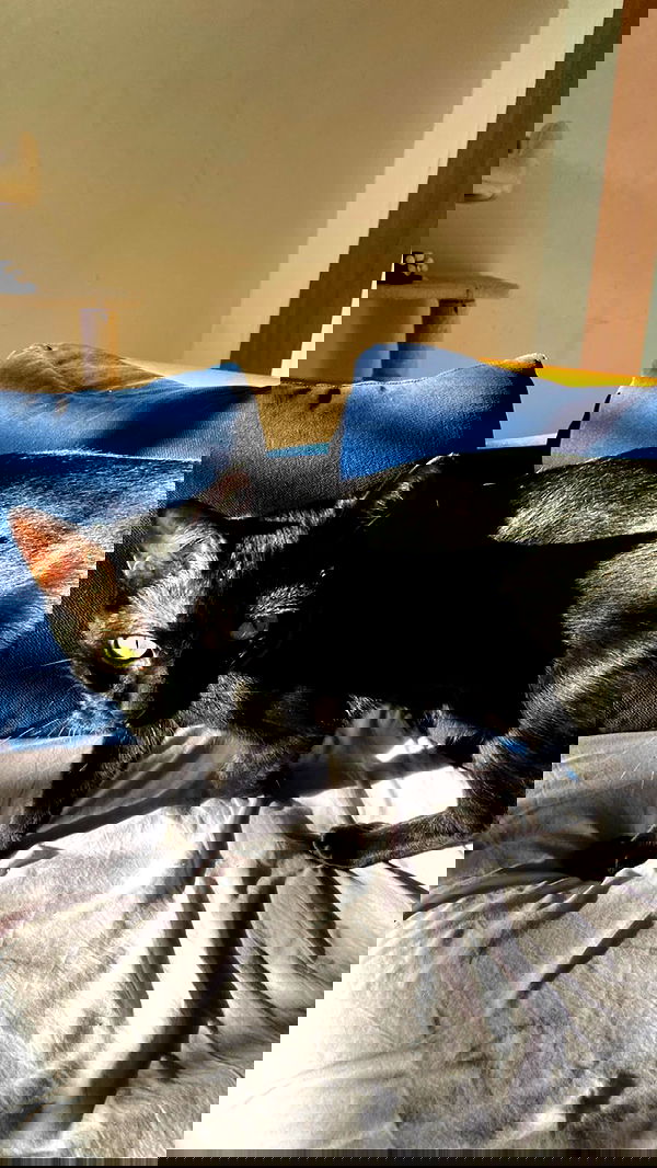 feelbetterinmysweater feelbetterinmysweater archive image