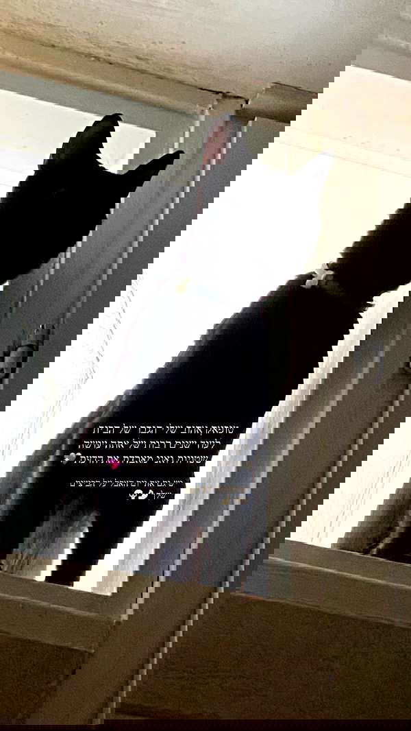 feelbetterinmysweater feelbetterinmysweater archive image