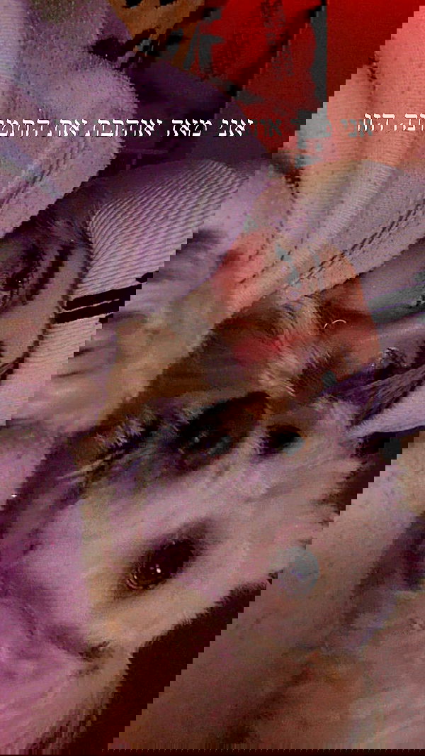 feelbetterinmysweater feelbetterinmysweater archive image