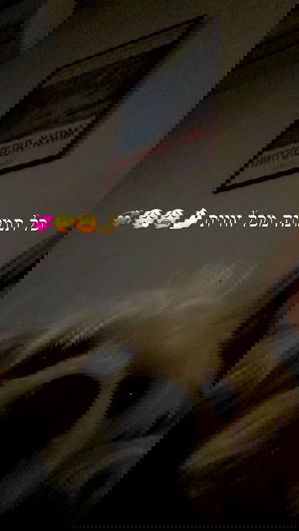 feelbetterinmysweater feelbetterinmysweater archive image