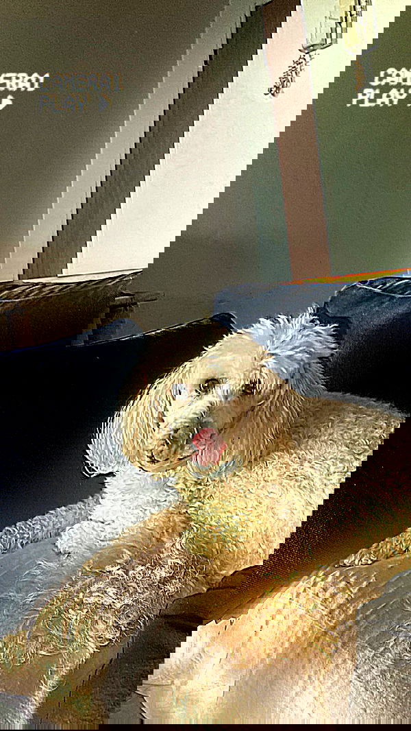 feelbetterinmysweater feelbetterinmysweater archive image