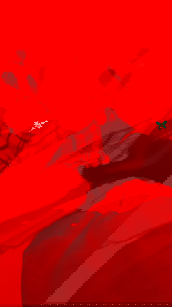 feelbetterinmysweater feelbetterinmysweater archive image