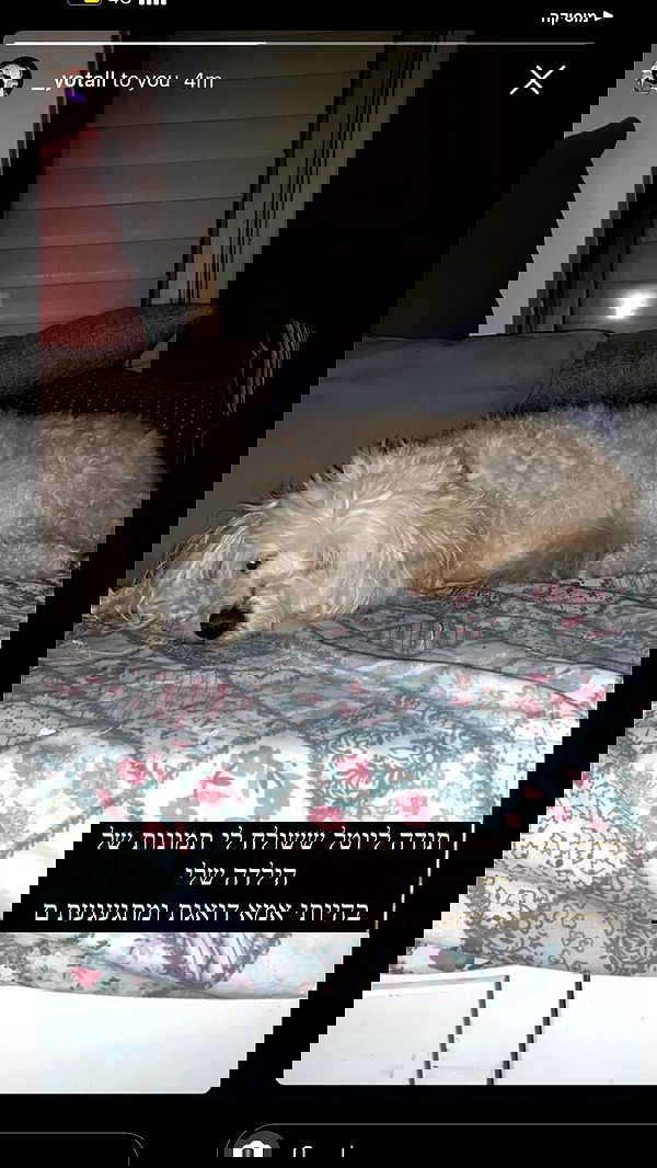 feelbetterinmysweater feelbetterinmysweater archive image