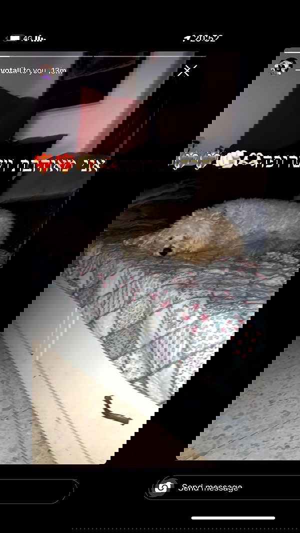 feelbetterinmysweater feelbetterinmysweater archive image