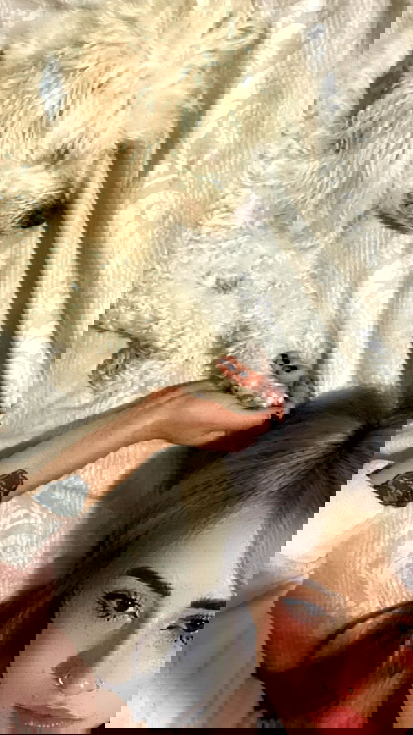 feelbetterinmysweater feelbetterinmysweater archive image