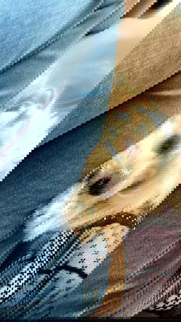 feelbetterinmysweater feelbetterinmysweater archive image