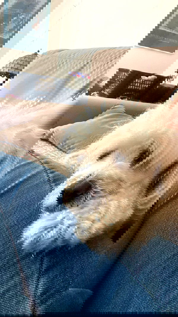 feelbetterinmysweater feelbetterinmysweater archive image