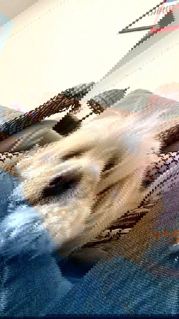 feelbetterinmysweater feelbetterinmysweater archive image