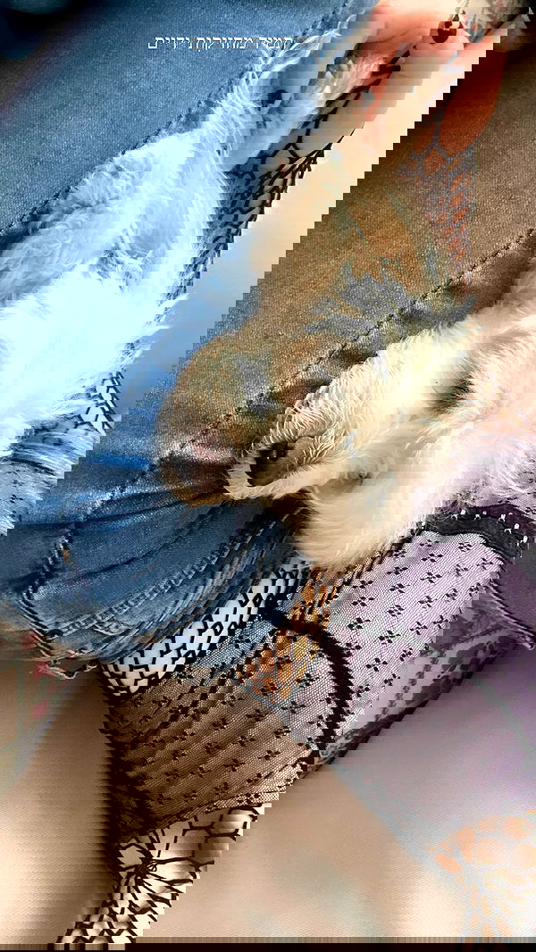 feelbetterinmysweater feelbetterinmysweater archive image