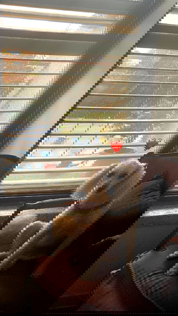 feelbetterinmysweater feelbetterinmysweater archive image