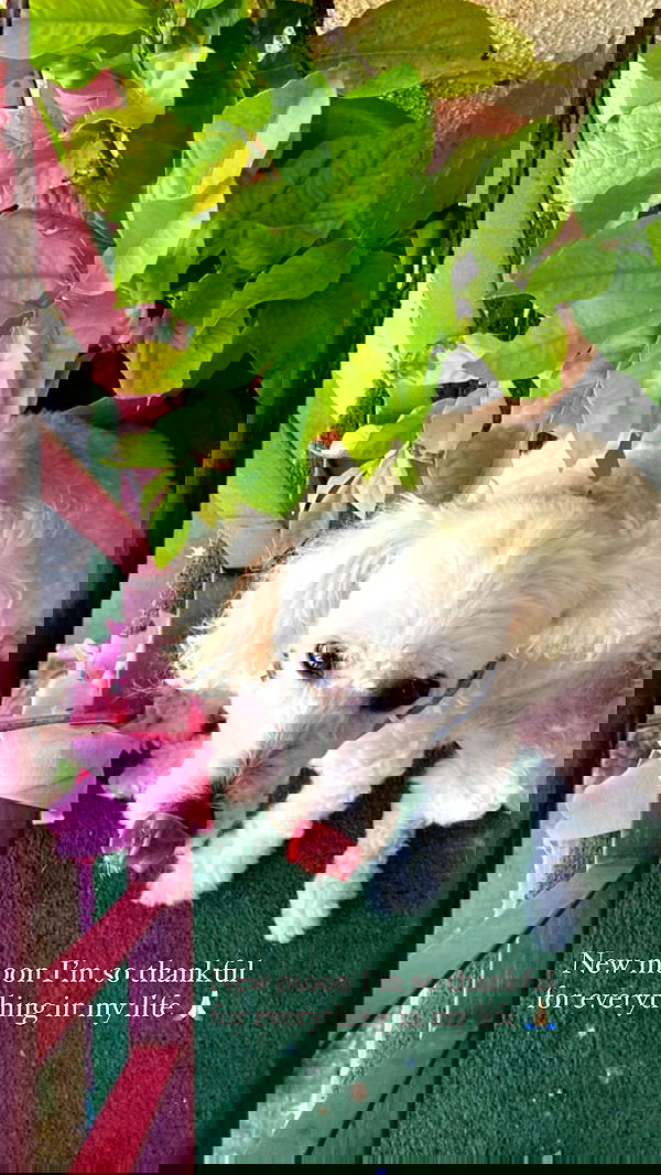 feelbetterinmysweater feelbetterinmysweater archive image