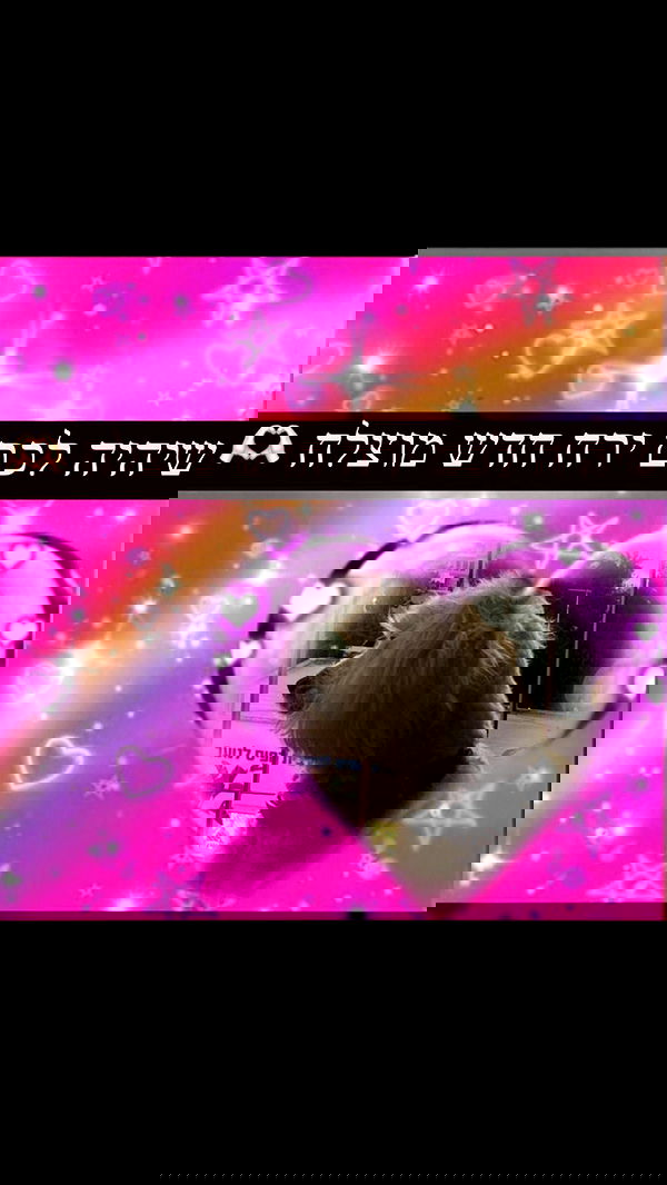 feelbetterinmysweater feelbetterinmysweater archive image