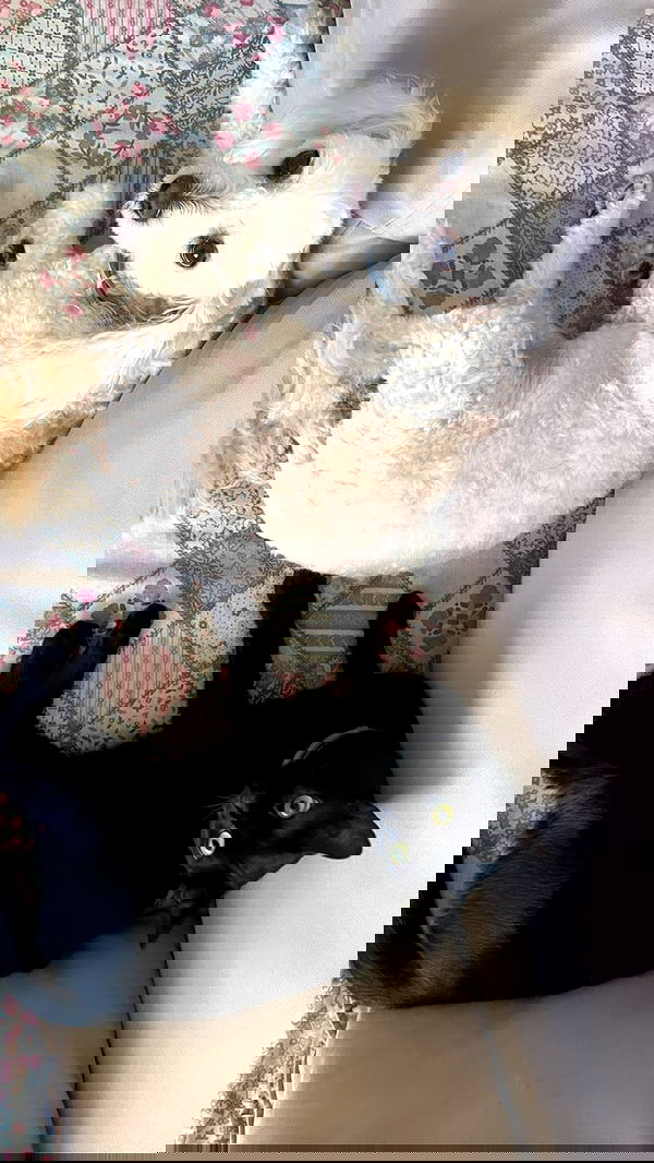 feelbetterinmysweater feelbetterinmysweater archive image