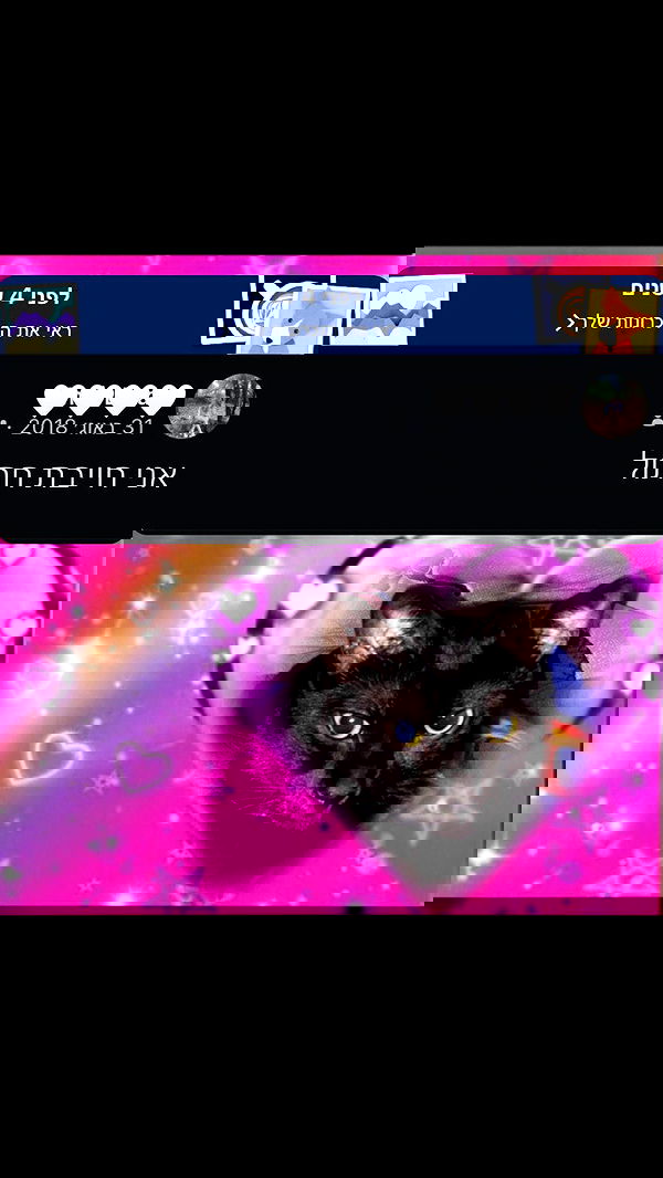 feelbetterinmysweater feelbetterinmysweater archive image