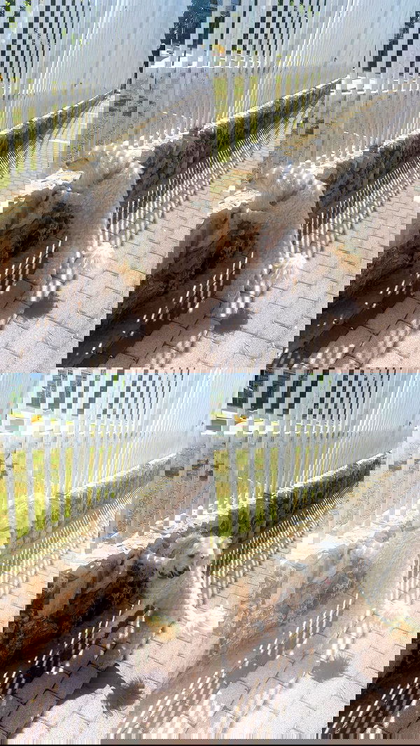 feelbetterinmysweater feelbetterinmysweater archive image