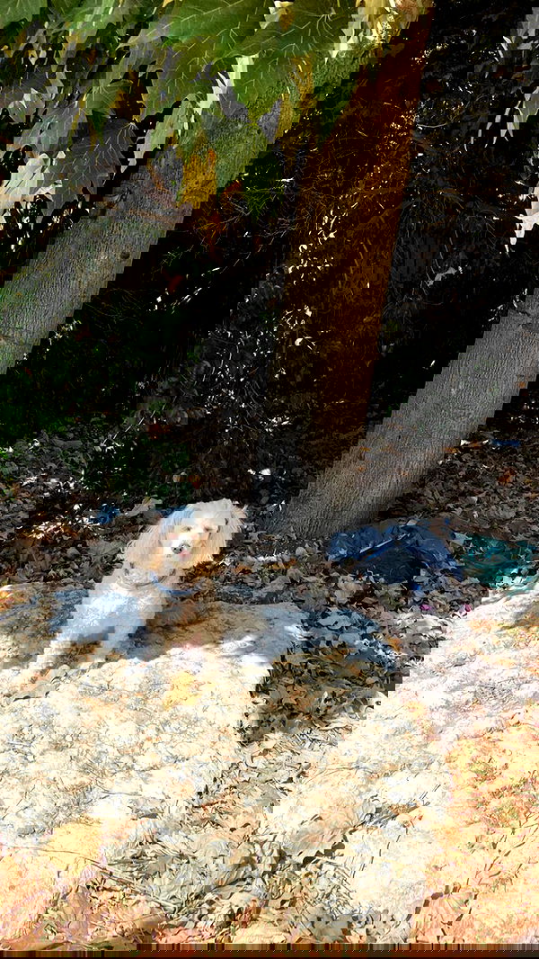 feelbetterinmysweater feelbetterinmysweater archive image