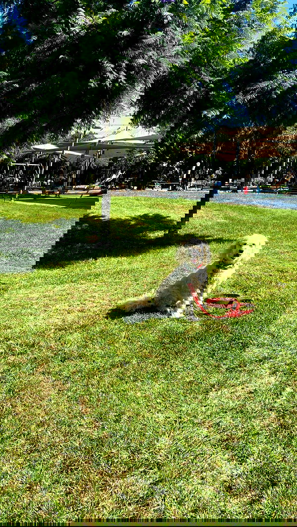 feelbetterinmysweater feelbetterinmysweater archive image