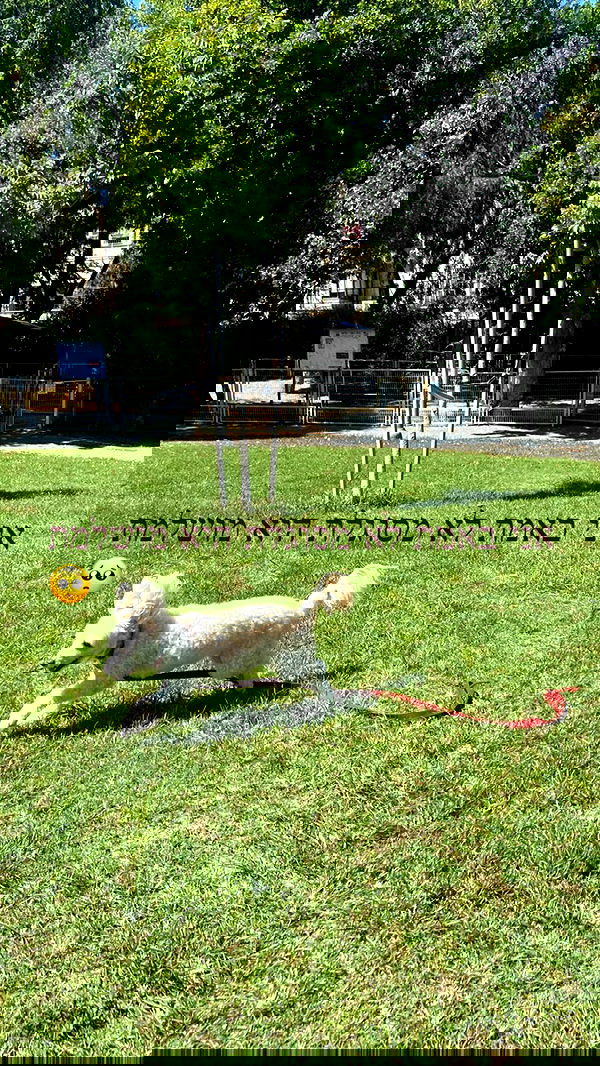 feelbetterinmysweater feelbetterinmysweater archive image