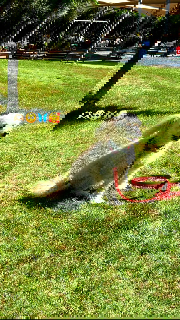 feelbetterinmysweater feelbetterinmysweater archive image