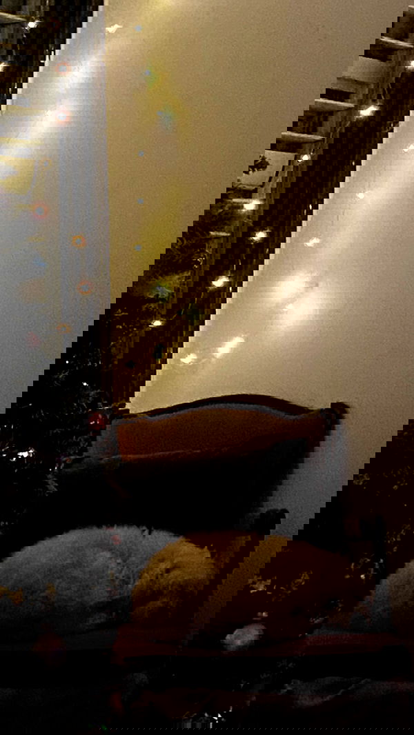 feelbetterinmysweater feelbetterinmysweater archive image